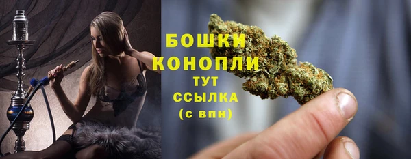 spice Дмитровск