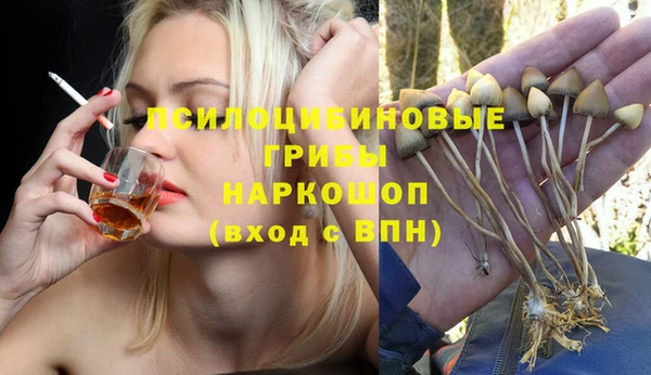 spice Дмитровск