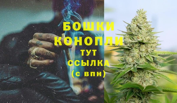 spice Дмитровск