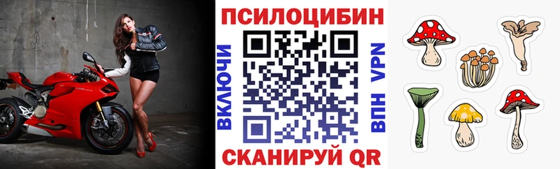 Галлюциногенные грибы Psilocybine cubensis  Купить  Тутаев 
